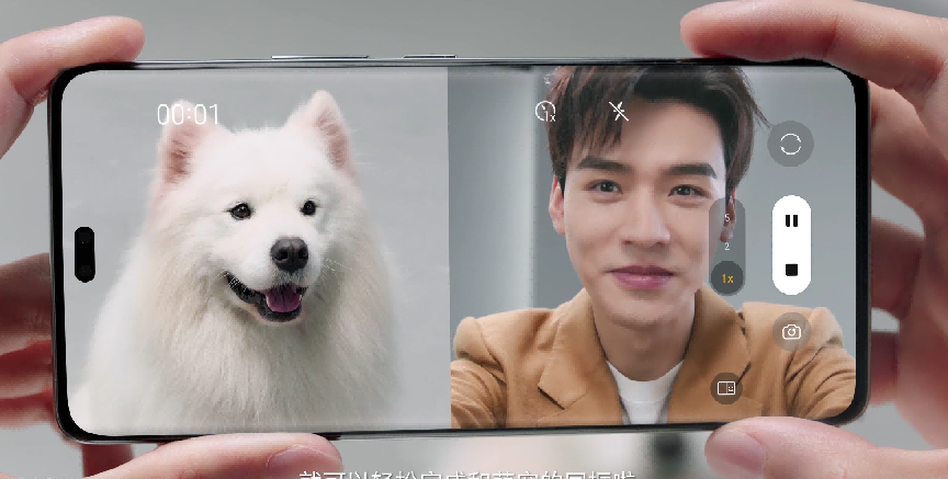 与狗狗同框截图