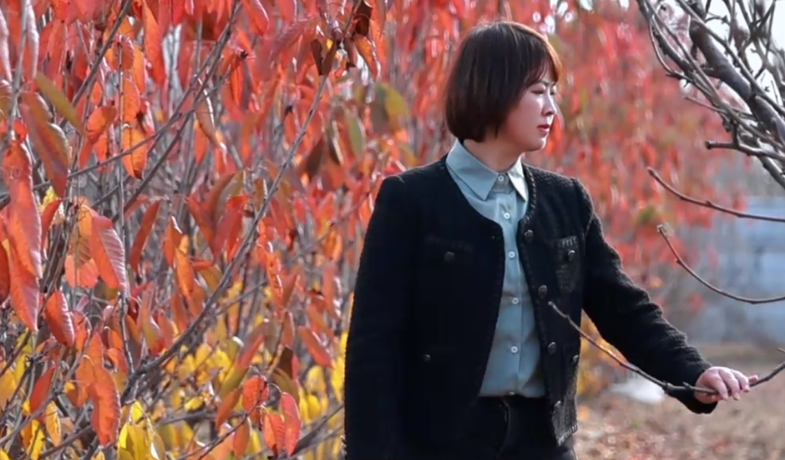 2022年度北京市农民增收致富能手｜陈静：新一代梨王