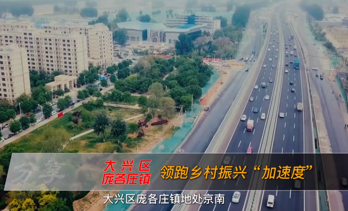 2022年度北京市农民增收典型案例｜大兴区庞各庄镇：领跑乡村振兴“加速度”