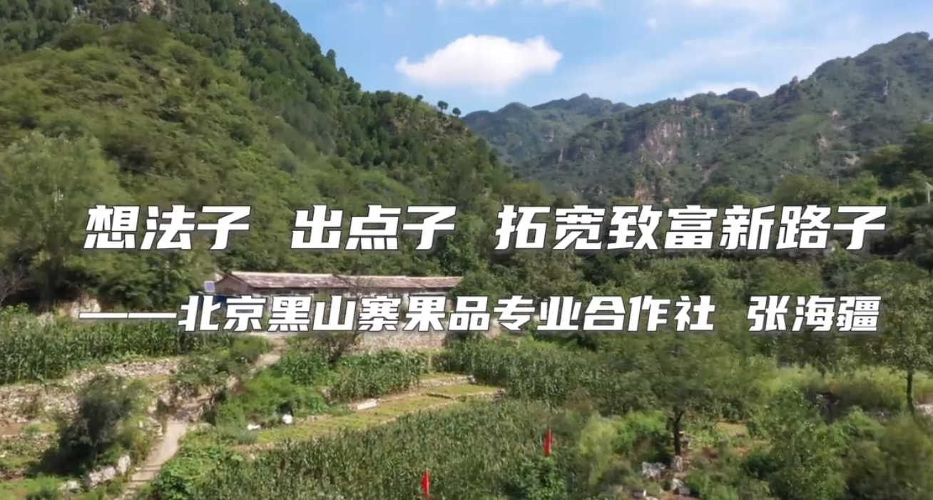 2022年度北京市农民增收致富能手｜张海疆：想法子 出点子 拓宽致富新路子