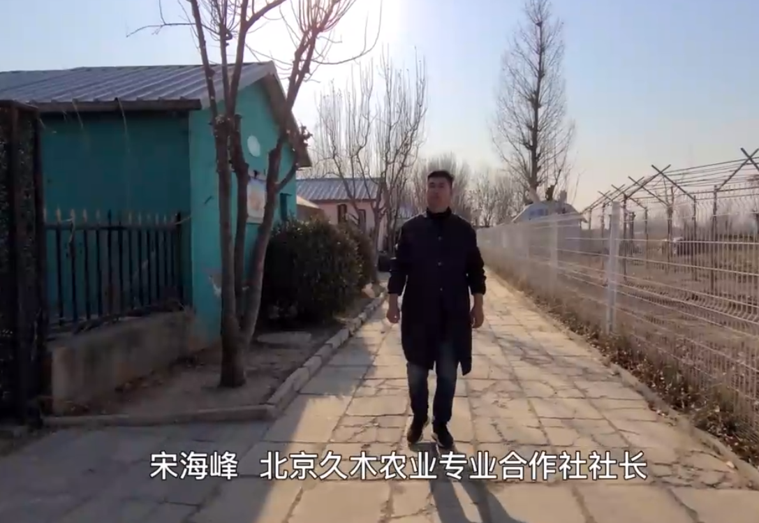 2022年度北京市农民增收致富能手｜宋海峰：只种良心菜的农民企业家