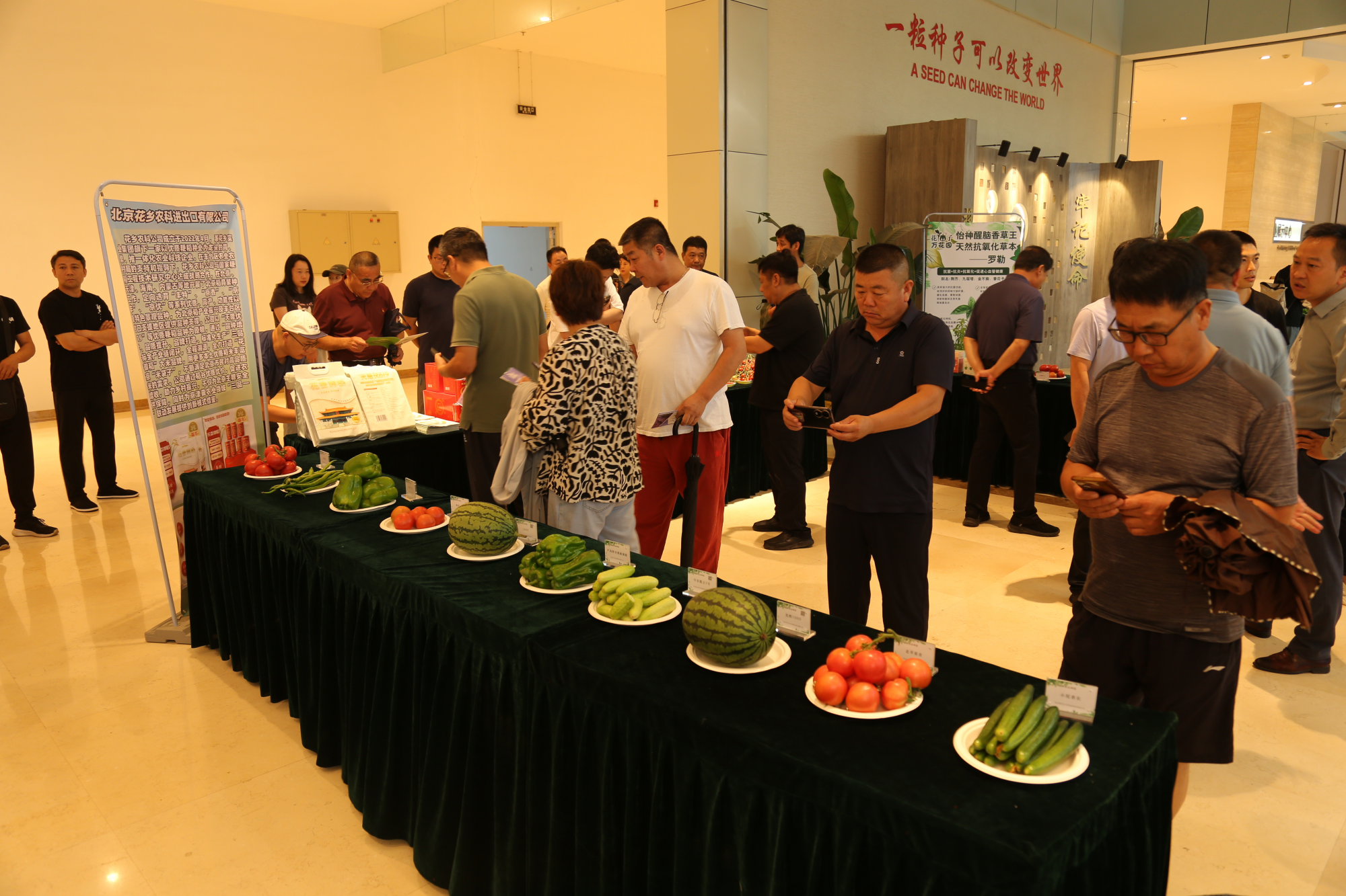 夏至之日，与“丰富多彩”蔬菜品种来一场缤纷之约——“黑玛瑙”樱桃番茄、“拇指”黄瓜……135个蔬菜观摩品种亮相丰台