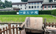 北京中轴线上的哲学密码 | “一亩三分地”如何生出万物？