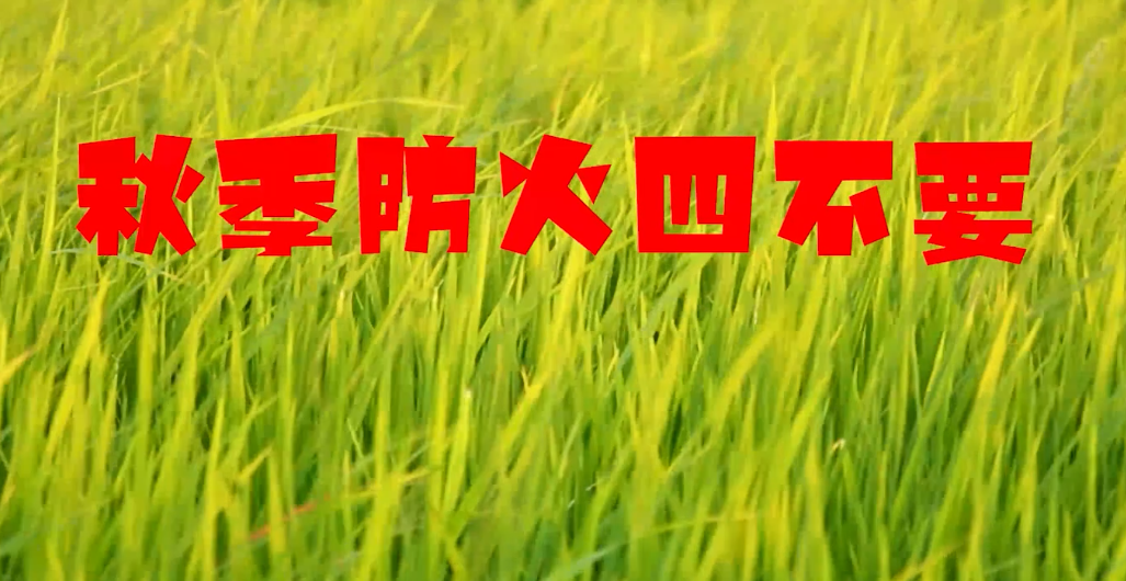 秋季防火四不要