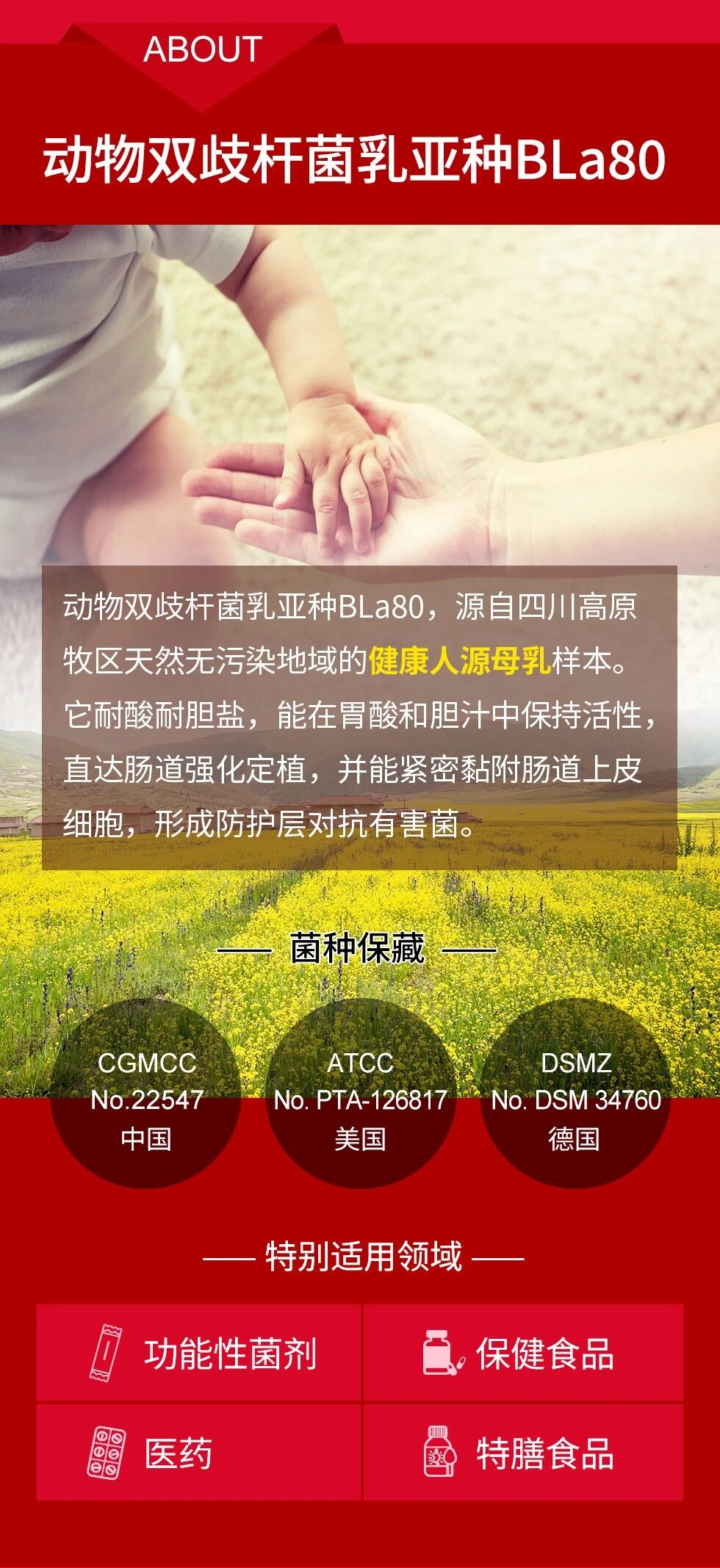 微信图片_20250908095336_101_45.jpg