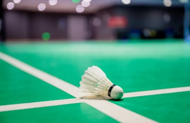 中国制造新势力：羽毛球产业链调查