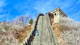 清明假期踏青赏花、体验户外运动，延庆长城醒山季启动