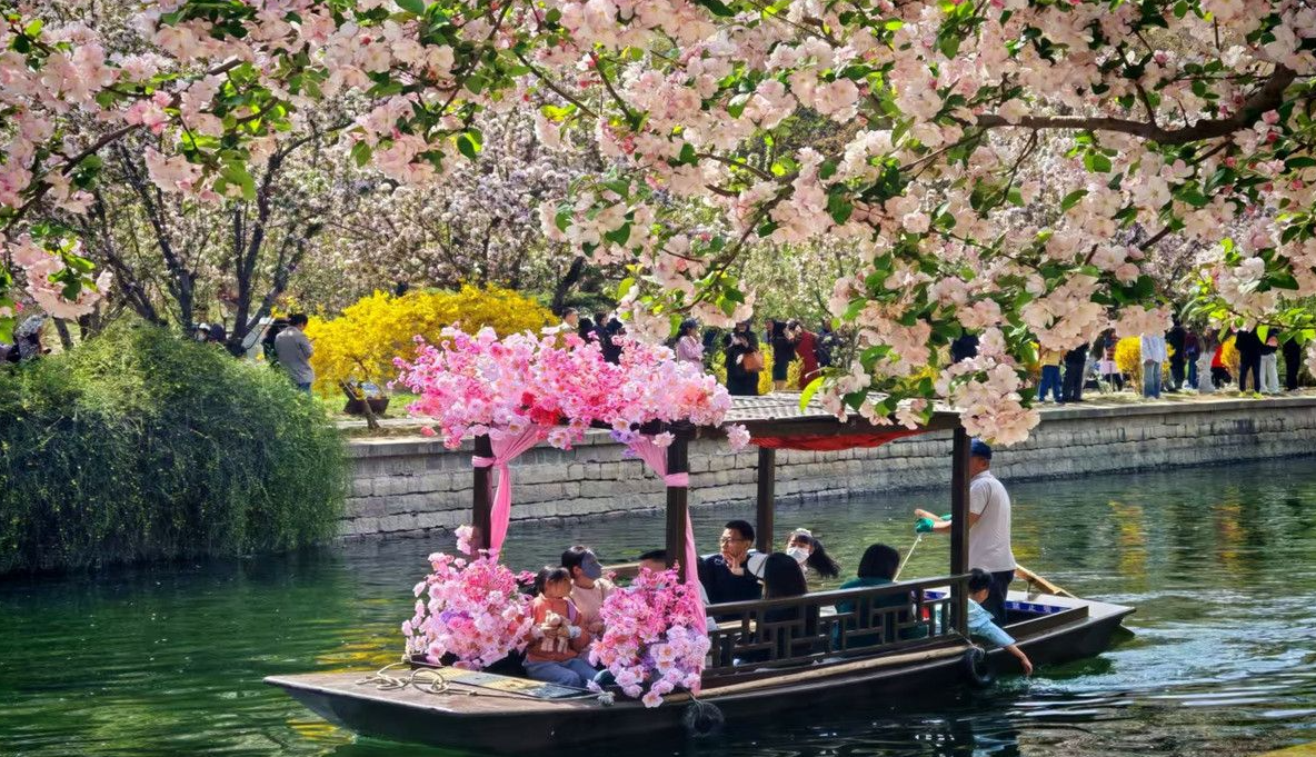 大美北京｜摇橹穿花海 元大都海棠花溪引市民打卡