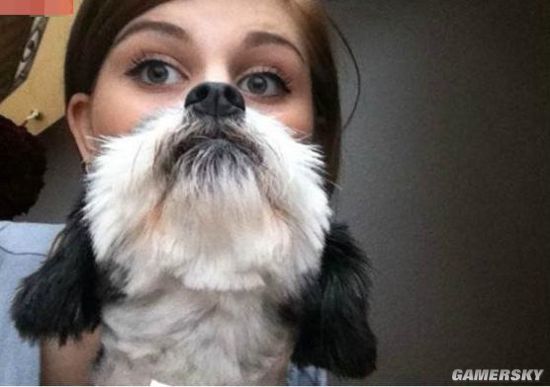 恰到好处的拍摄角度 26张错位照片让人笑喷(7)