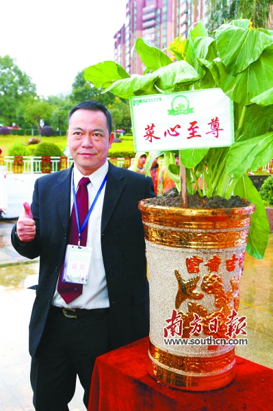 连州碧桂园以628888元的高价拍得"至尊菜心王".梁素雅 摄