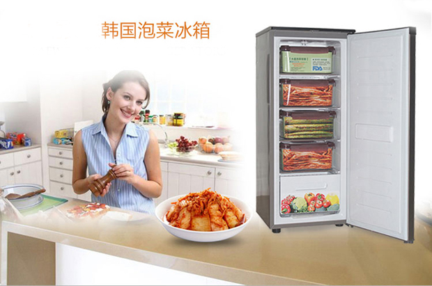 韩国泡菜冰箱惊到董明珠 中韩冰箱差在哪?