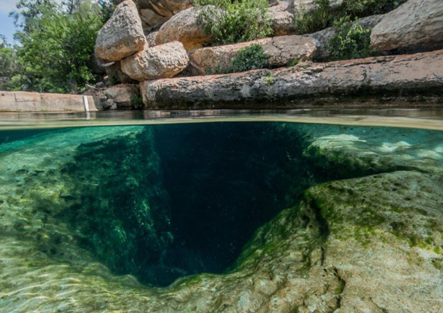 如果你是一个想象力丰富的人,可能还会幻想里头是不是藏着什么恐怖