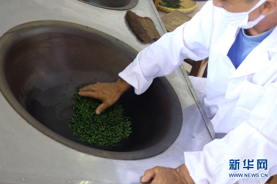 炒茶的"锅"温度一般设定在140℃左右,熟练的师傅只抓上层茶叶,不会