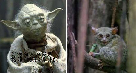 灵活的大拇指,指尖都有指甲而不是爪子,并不一定都要有近似人类的面孔