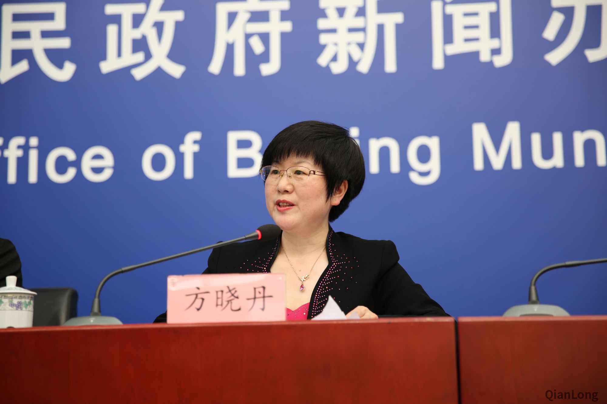 国家统计局北京调查总队总统计师、新闻发言人方晓丹