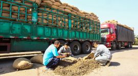 走进同仁堂科技发展集团|沙河库：质量把关最前沿