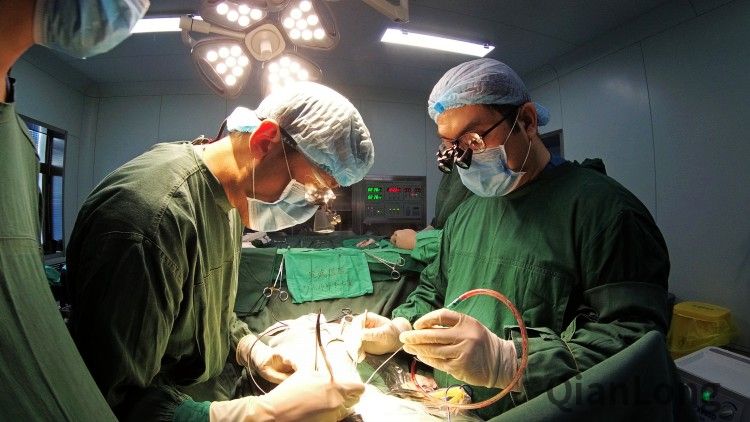 将脊柱神经每一束分离后通过电生理监测证据来精准的制定手术相应切断