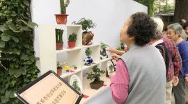 北京小关街道居民共建共享“花园式小区”