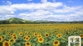 疏解整治促提升|北京怀柔腾退395个禽畜养殖场