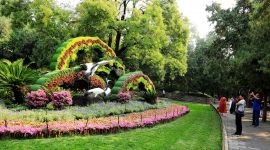 我们的节日·中秋|“松鹤延年”亮相颐和园