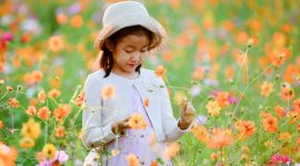 北京图见｜北京奥森公园花开遍地美如秋天的童话