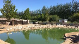 113个“北京最美的乡村”国庆7天进账5600万