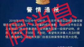 首度回应|北京海淀区动物园丢失2吨大象？假的！