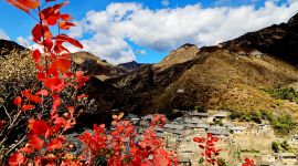 北京图见|层林尽染秋意浓