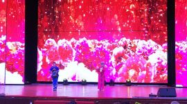 北京朝阳大型庆重阳老年慰问演出开演