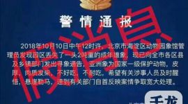 首度回应|动物园大象还在，造谣男子被北京警方拘留3天