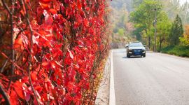 北京图见|那浓的化不开的秋日色彩，来自百里画廊