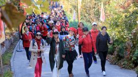 我们的节日·重阳|800位北京市民蟒山国家森林公园登高