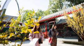 北京东城区多了一家胡同博物馆