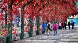 美丽北京好去处|秋天北京的这些地儿美翻了！