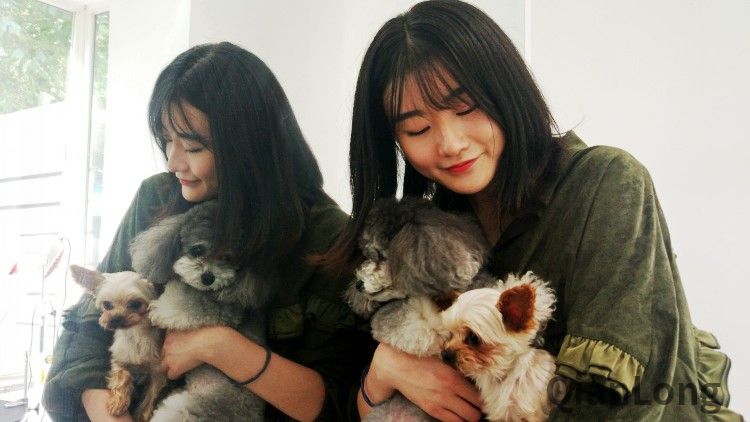 马克和cc,是吴灵薇打造轻松宠app的动力源泉.