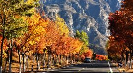 北京图见|来延庆感受一场秋天的童话之旅