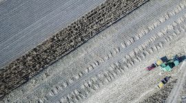 来自首都的支援合作|北京石景山企业购置收割机帮扶内蒙农民抢收玉米