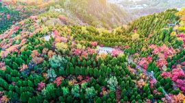 北京图见|鸟瞰红叶岭