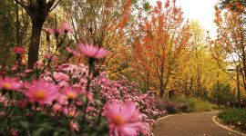 美丽北京好去处|喧嚣深处的静谧，就在新中街城市森林公园