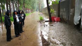 京冀执法大清河白洋淀 查处环境违法364起