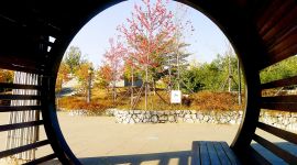 美丽北京好去处|京西永定河 秋色如诗画