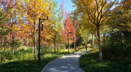 美丽北京好去处|亲近自然 来广阳谷就对了！