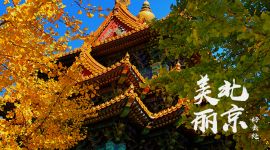 美丽北京好去处，今秋赏景正当时