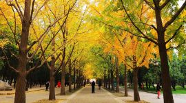 北京图见|千龙图像库一周图片精选（10.21-10.27）