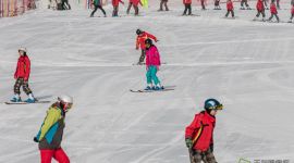 2018北京昌平区中小学生冰雪知识竞赛启动