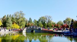 北京图见|深秋京城高颜值蓝天霸屏