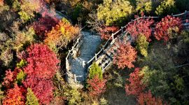 北京图见|千灵山红叶已红透 周末来拍照吧