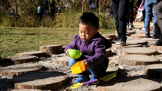 2018年北京已完成8处自然生态景观
