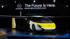 聚焦进博会|好吃的、好玩的……图文get进博会亮点！