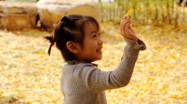 北京图见|秋将逝冬将至，周末去这儿抓住秋天的尾巴